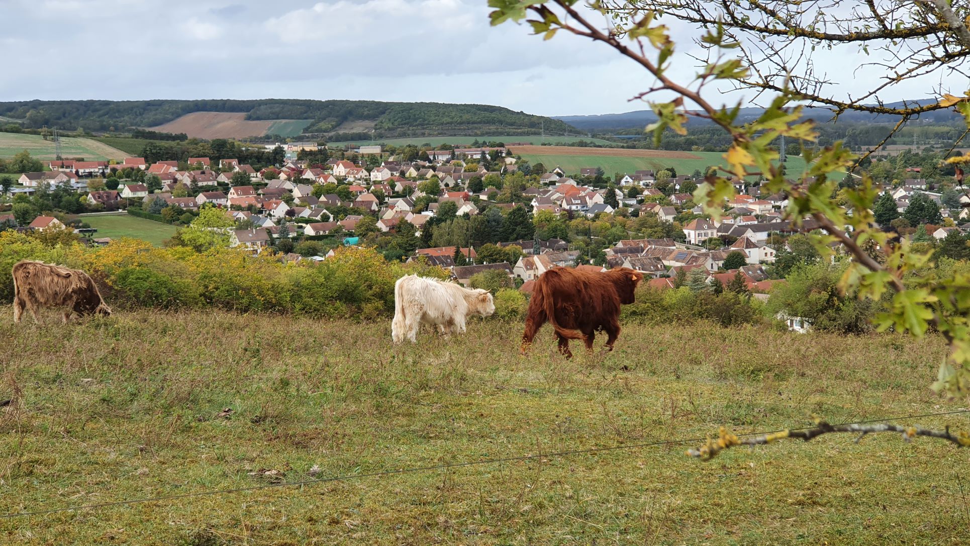 La colline