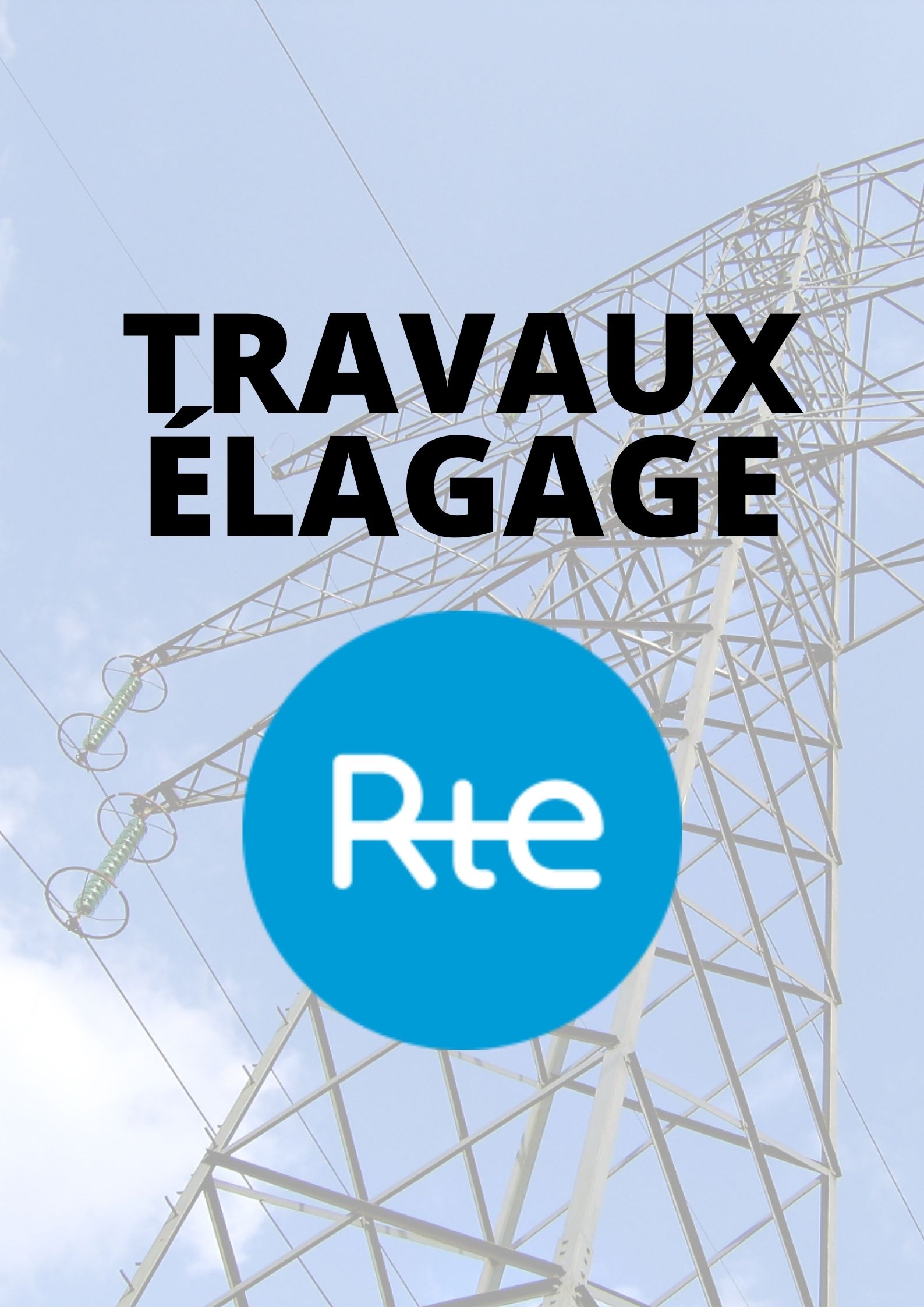 TRAVAUX ELAGAGE